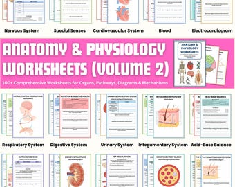 100+ Anatomy & Physiology Worksheet Bundle-Complete Anatomy Study Guide-Nursing School Notes-Medical Notes-Special Senses-Digital Pdfs
