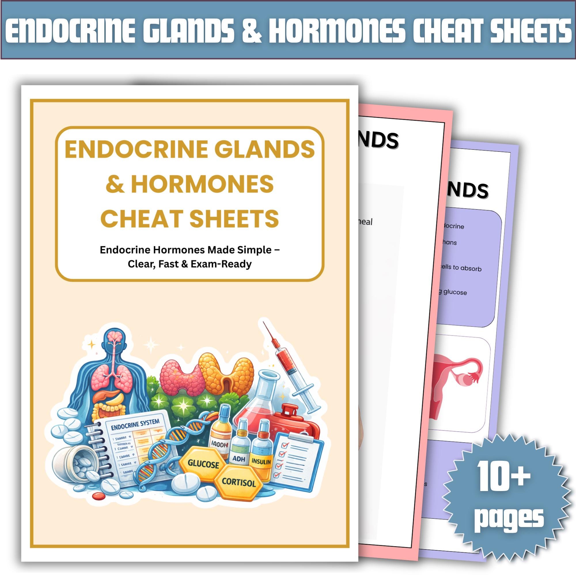 Endocrine Glands & Hormones Cheat Sheets | Nursing Study Notes ...