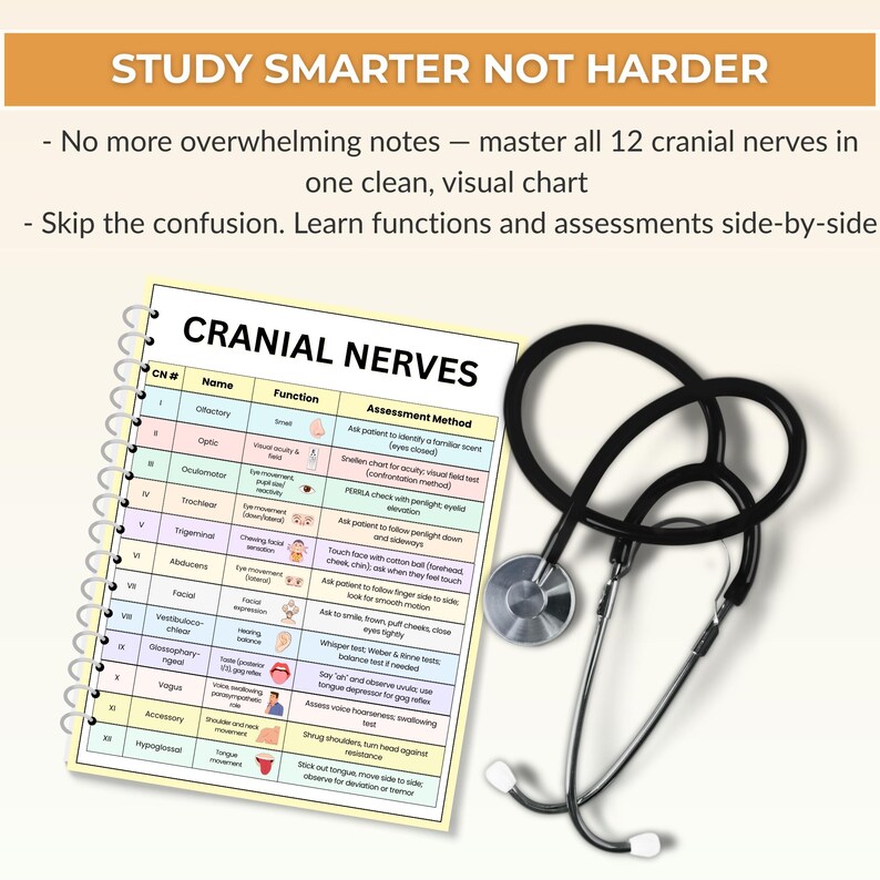 Cranial Nerves Study Guide – Cheat Sheets, Assessment (printable PDF ...