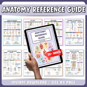 May include: An anatomy reference guide digital tablet display featuring the text Anatomy Reference Guide and Transform Anatomy Confusion into Lasting Understanding, surrounded by multiple educational charts showing joints, hip, foot, spine, and rib cage.