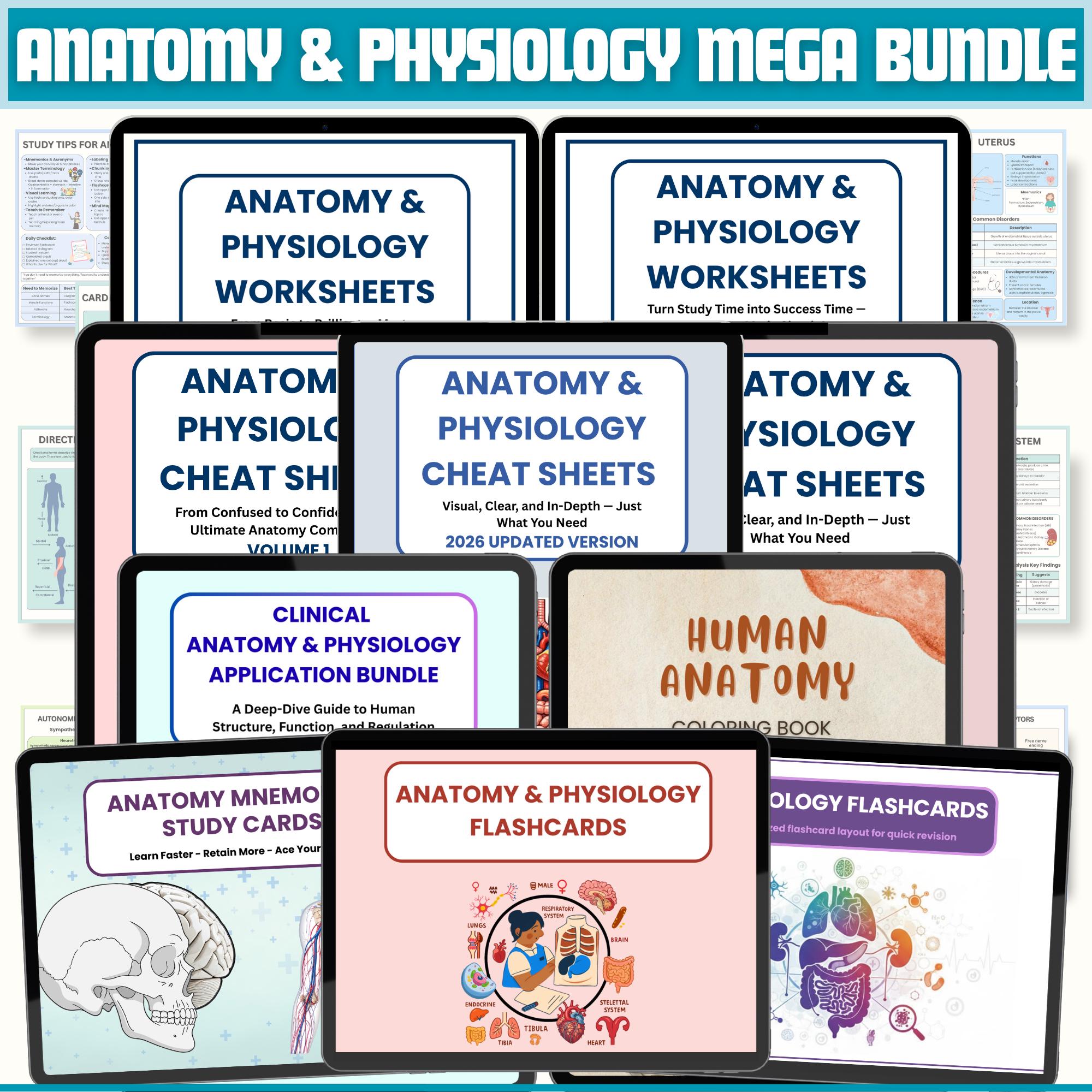 Anatomy and Physiology Notes Mega Bundle Vol 1 & 2 | Human Anatomy ...