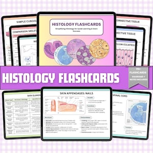 以下が含まれることがあります： 「HISTOLOGY FLASHCARDS」のタイトルが表示されたタブレット上のデジタルフラッシュカード。皮膚腺、皮膚付属器、脊髄図など、さまざまなトピックをカバーしています。画像には「70+ FLASHCARDS DIAGRAMS + NOTES INCLUDED」というテキストが含まれています。