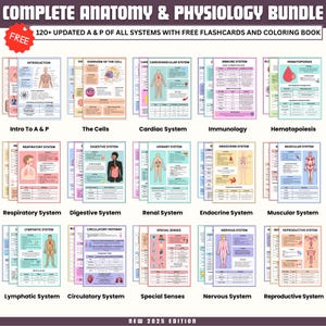 May include: A collection of anatomy and physiology educational resources. The image shows 15 colourful educational charts covering various body systems, including the cardiovascular, immune, and nervous systems. The text "COMPLETE ANATOMY & PHYSIOLOGY BUNDLE" is at the top.