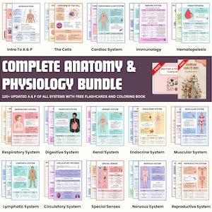 Op de afbeelding: Een bundel educatief materiaal over anatomie en fysiologie. De afbeelding toont meerdere kleurrijke pagina's over verschillende lichaamssystemen, waaronder de ademhalings-, spijsverterings- en cardiovasculaire systemen. De titel "COMPLETE ANATOMY & PHYSIOLOGY BUNDLE" is prominent aanwezig.