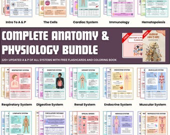 Anatomy & Physiology Bundle with Flashcards-Complete Anatomy Study Guide-Nursing School Notes-Medical Notes-Special Senses-Digital Pdfs