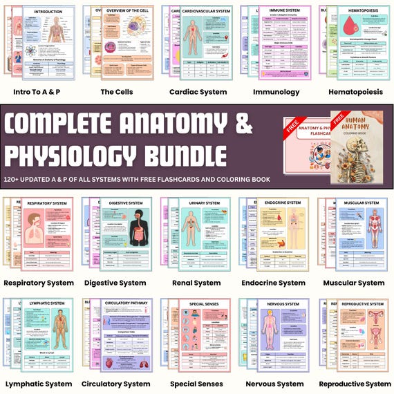 Anatomy & Physiology Bundle with Flashcards-Complete Anatomy Study Guide-Nursing School Notes-Medical Notes-Special Senses-Digital Pdfs