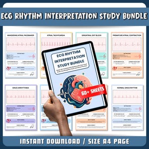 May include: An ECG Rhythm Interpretation Study Bundle featuring a digital tablet displaying a cover with a heart illustration and the text 60+ SHEETS. The background shows multiple educational sheets for various cardiac rhythms like sinus arrhythmia.