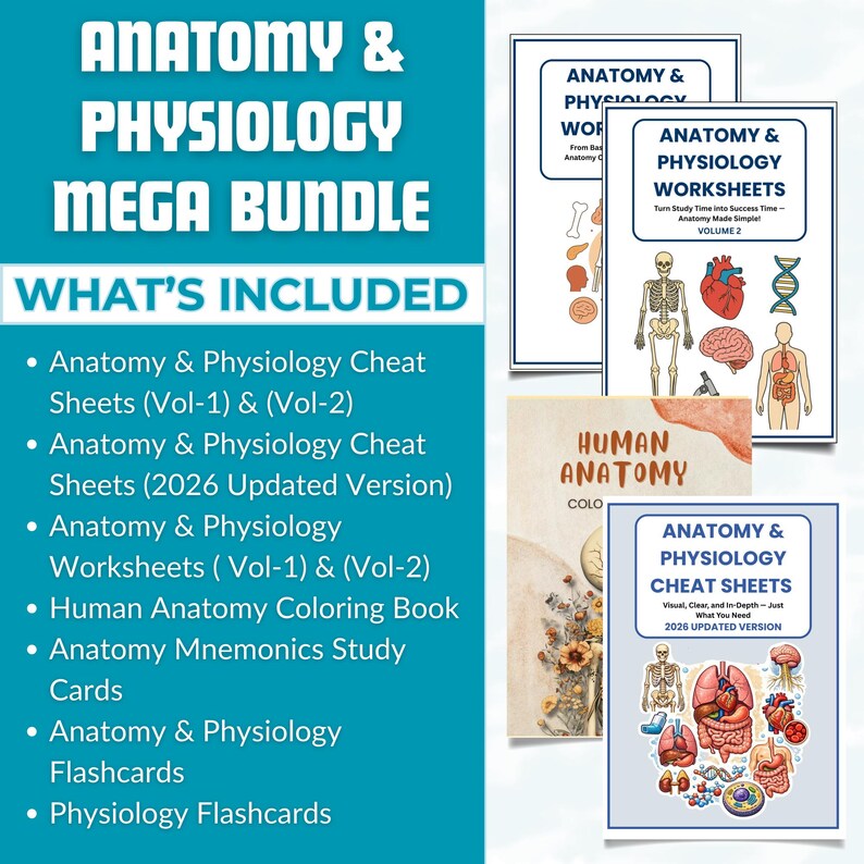 Anatomy and Physiology Notes Mega Bundle Vol 1 & 2 | Human Anatomy ...