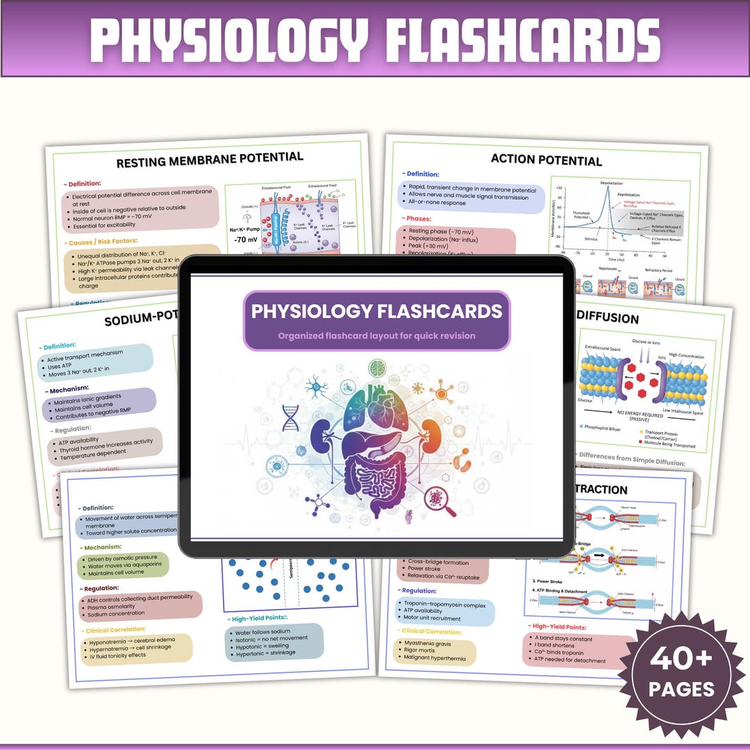 Physiology Flashcards Bundle | Physiology Study Guide | Nursing Notes ...