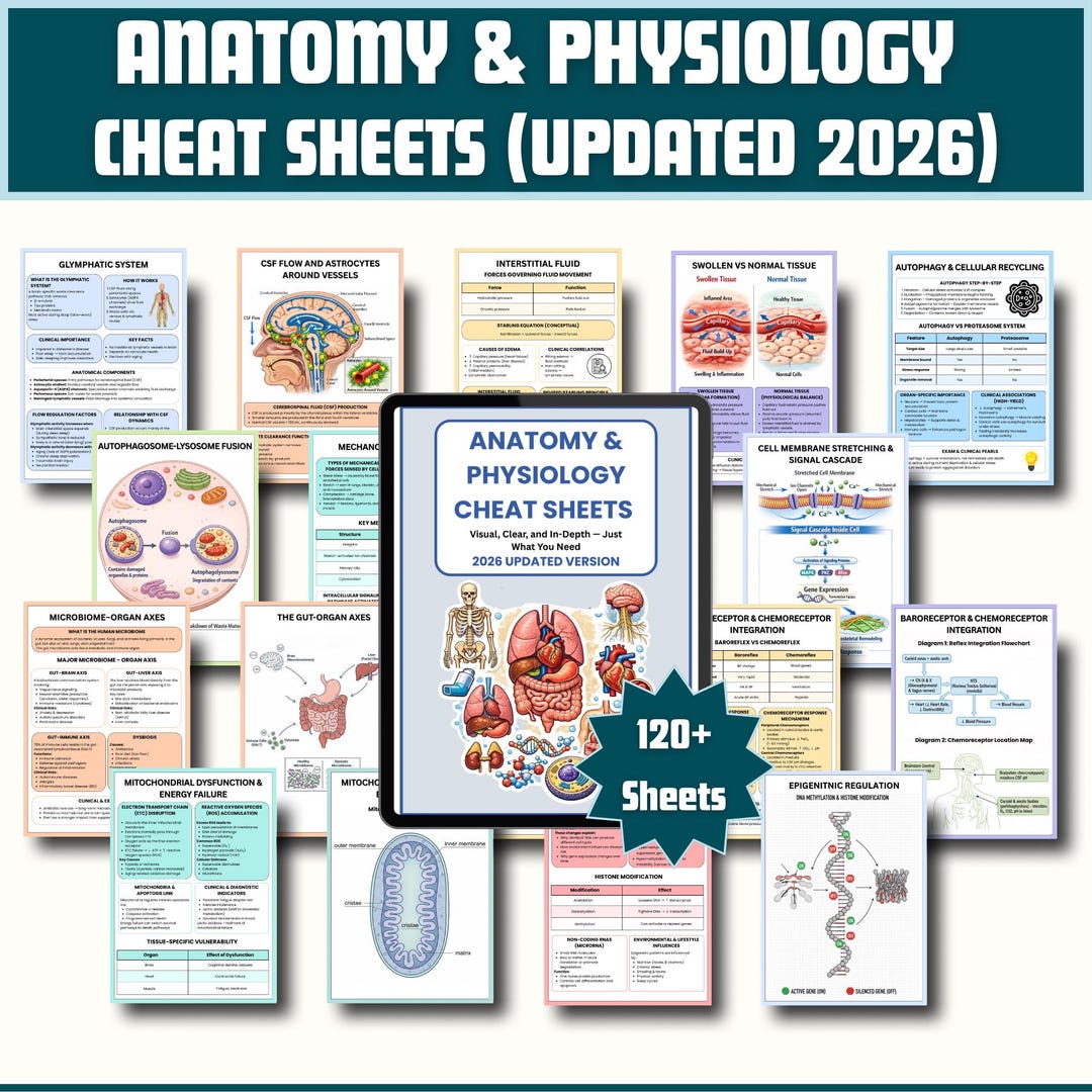 Anatomy &amp; Physiology Cheat Sheet | 2026 Anatomy and Physiology Study Guide | Nursing School ...