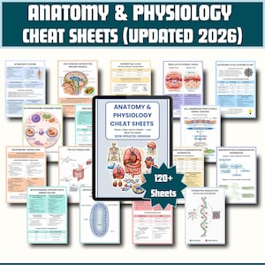 May include: An image of anatomy and physiology cheat sheets, with a tablet showing the title "Anatomy & Physiology Cheat Sheets" and the text "2026 Updated Version". The image includes diagrams and illustrations of human anatomy.