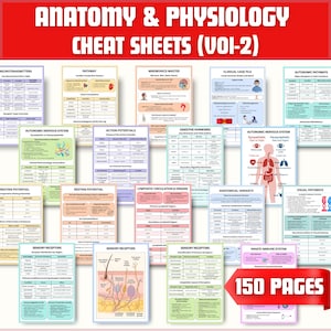 150 Anatomy & Physiology Pages Bundle  | Anatomy Study Guide | Physiology Notes | Nursing School Notes | Medical Notes- Instant Download PDF
