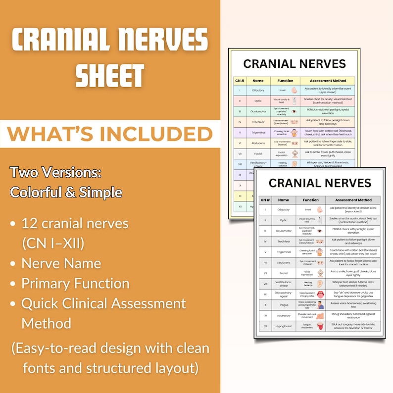 Cranial Nerves Study Guide – Cheat Sheets, Assessment (printable PDF ...