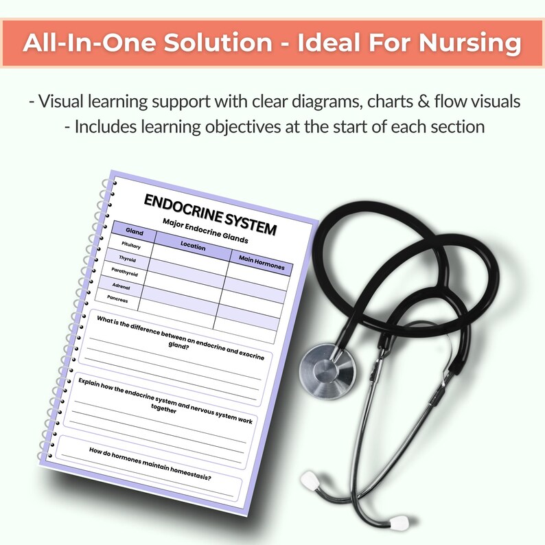 Anatomy and Physiology Worksheet Bundle | Human Anatomy | Nursing ...