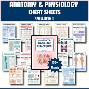 May include: Anatomy and physiology cheat sheets, covering topics such as the cardiovascular system, body planes, and directional terms. The title "Anatomy & Physiology Cheat Sheets Volume 1" is displayed, with over 100 sheets.