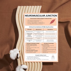 May include: An educational poster detailing the neuromuscular junction. It features diagrams and text explaining nerve signal transmission, clinical correlations of dysfunction, receptor subtypes, and synaptic physiology. The background is a warm, neutral colour.