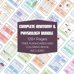 May include: A selection of colourful anatomy and physiology study guides. The central graphic reads "COMPLETE ANATOMY & PHYSIOLOGY BUNDLE" with "120+ Pages" and "FREE FLASHCARDS AND COLORING BOOK INCLUDED". Various topics are displayed on the pages.