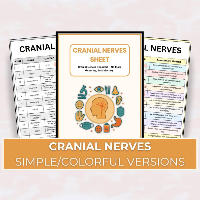 Cranial Nerves Study Guide – Cheat Sheets, Assessment (printable PDF ...