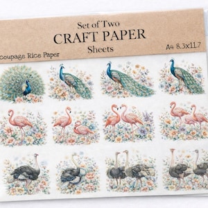 May include: A set of two craft paper sheets featuring decoupage rice paper. The sheets display various bird illustrations, including peacocks, flamingos, and ostriches, surrounded by floral arrangements. The paper size is A4, measuring 8.3x11.7 inches.