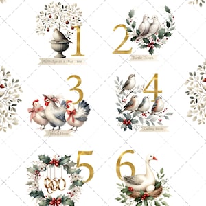 May include: Watercolor illustrations of the Twelve Days of Christmas. Each image features a gold number and a corresponding scene: a partridge in a pear tree, turtle doves, French hens, calling birds, gold rings, and geese a-laying.