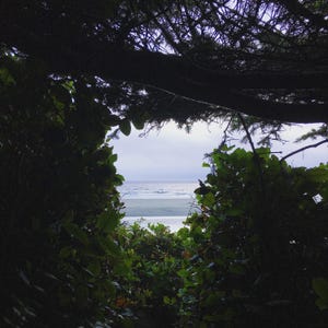 Tofino, British Columbia Print