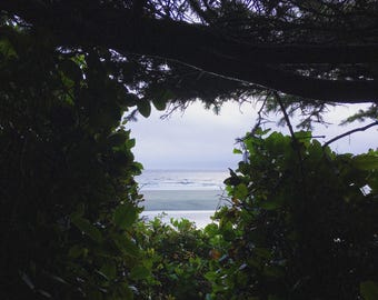 Tofino, British Columbia Print