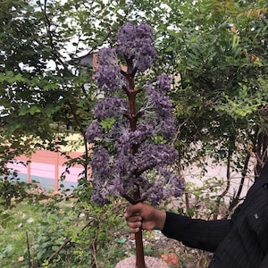 May include: An artificial tree with a brown trunk and branches, featuring clusters of purple flowers. The tree is set in a round pot filled with small, light-coloured stones. The tree is being held by a person.