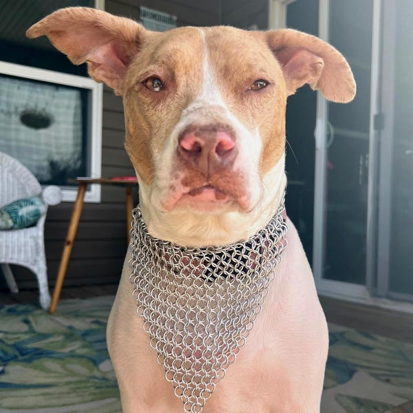 Chainmail Dog Bandana | Handmade Ren Faire Pet Costume