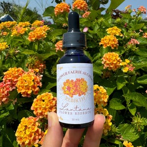 REBIRTH Flower Essence | Soul Harmony | Alcohol-free | Emotional and Energetic Support