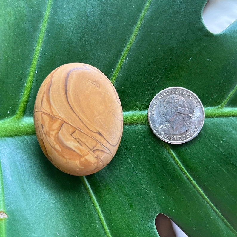 Polished Pocket Crystal Palm Stones, Multiple Different Varieties Available Woodlace Agate