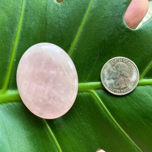 Polished Pocket Crystal Palm Stones, Multiple Different Varieties Available Rose Quartz
