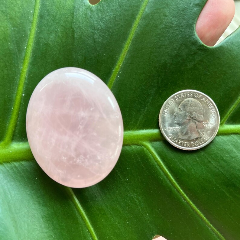 Polished Pocket Crystal Palm Stones, Multiple Different Varieties Available Rose Quartz