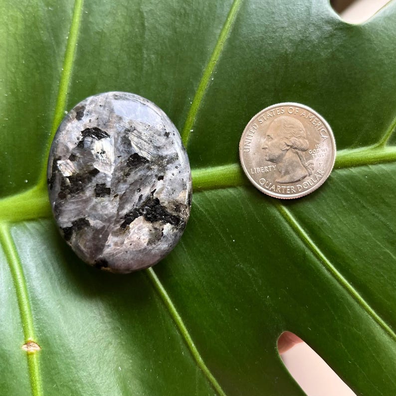 Polished Pocket Crystal Palm Stones, Multiple Different Varieties Available Larvakite