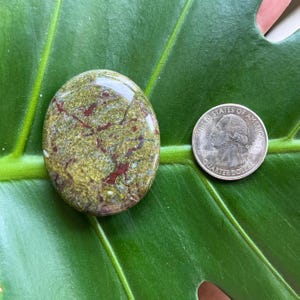 Polished Pocket Crystal Palm Stones, Multiple Different Varieties Available Dragonsblood Jasper