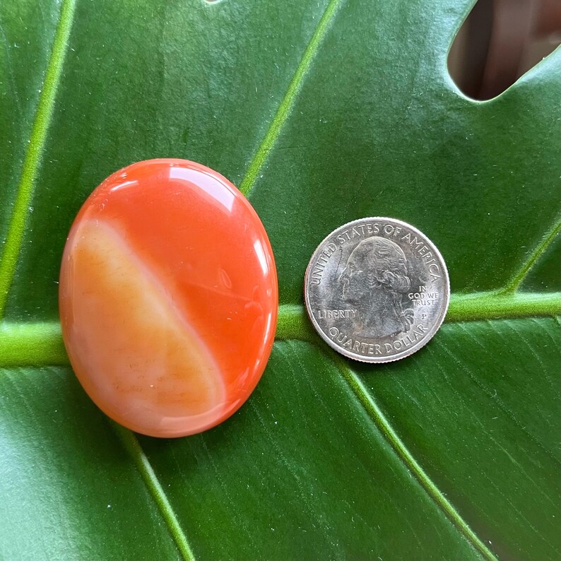 Polished Pocket Crystal Palm Stones, Multiple Different Varieties Available Carnelian