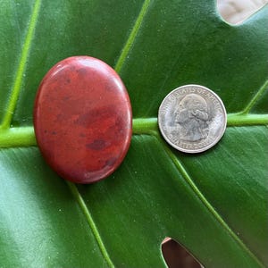 Polished Pocket Crystal Palm Stones, Multiple Different Varieties Available Red Jasper