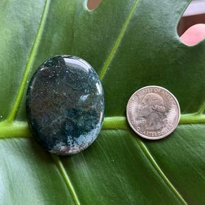 Polished Pocket Crystal Palm Stones, Multiple Different Varieties Available Moss Agate
