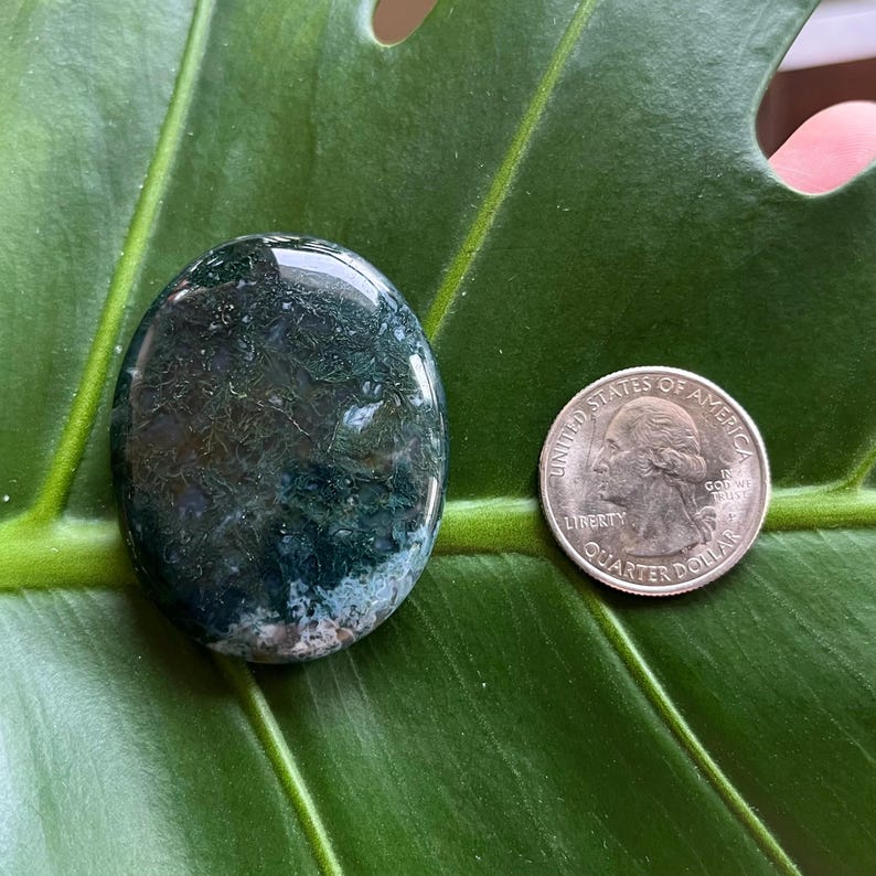 Polished Pocket Crystal Palm Stones, Multiple Different Varieties Available Moss Agate
