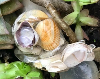 Sea Shell Epoxy Resin Snail, Handmade Animal Figurine, Quirky Pocket Pet or Plant Friend