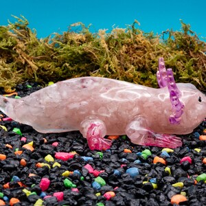 Rose Quartz Crystal Chip Axolotl Figure, Resin Animal Sculpture, Hand-Painted Details image 6