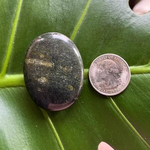 Polished Pocket Crystal Palm Stones, Multiple Different Varieties Available Green Jasper