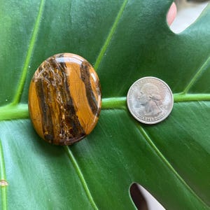 Polished Pocket Crystal Palm Stones, Multiple Different Varieties Available Tiger Iron