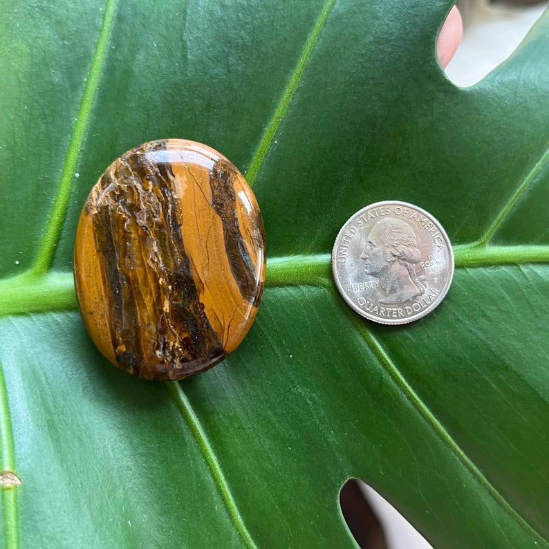 Polished Pocket Crystal Palm Stones, Multiple Different Varieties Available Tiger Iron