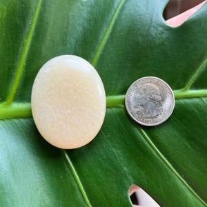 Polished Pocket Crystal Palm Stones, Multiple Different Varieties Available Calcite