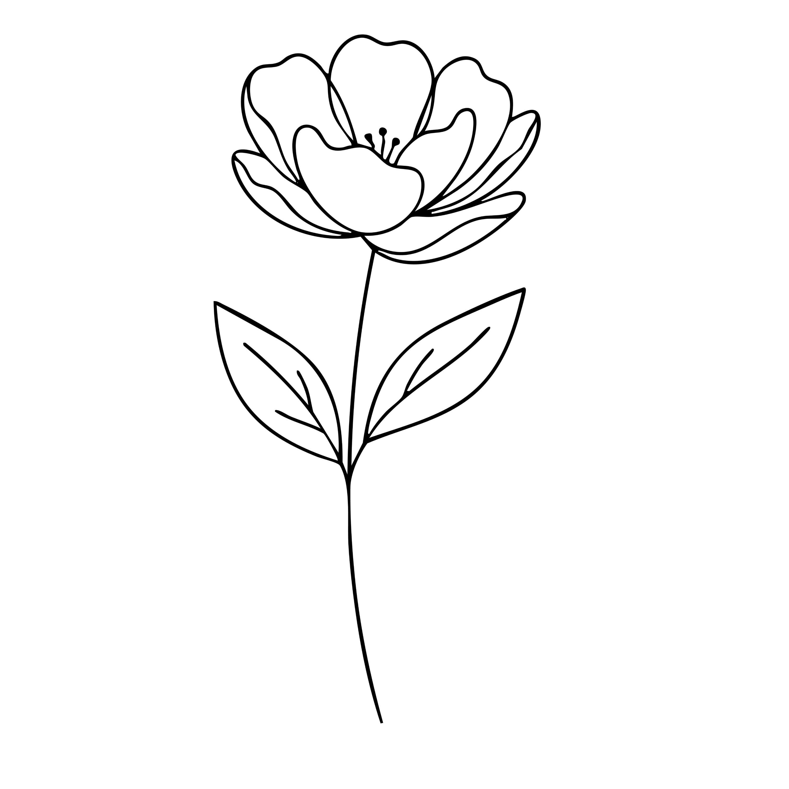 Poppy Outline, Side View Svg Png – Single Line Floral Cut File for ...