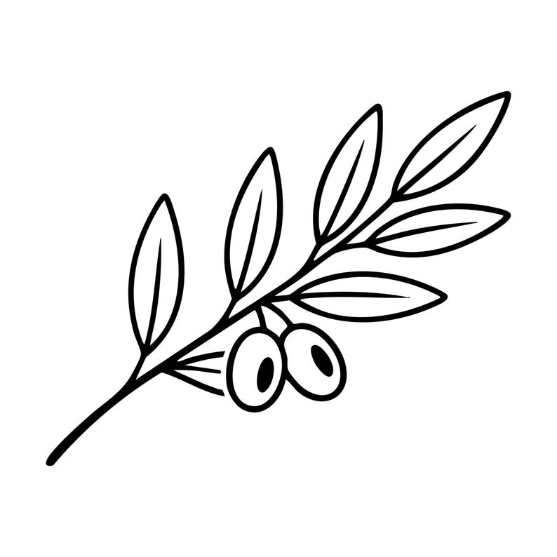 Olive Branch SVG PNG | Minimalist Botanical Line Art | Olive Leaf Cut ...