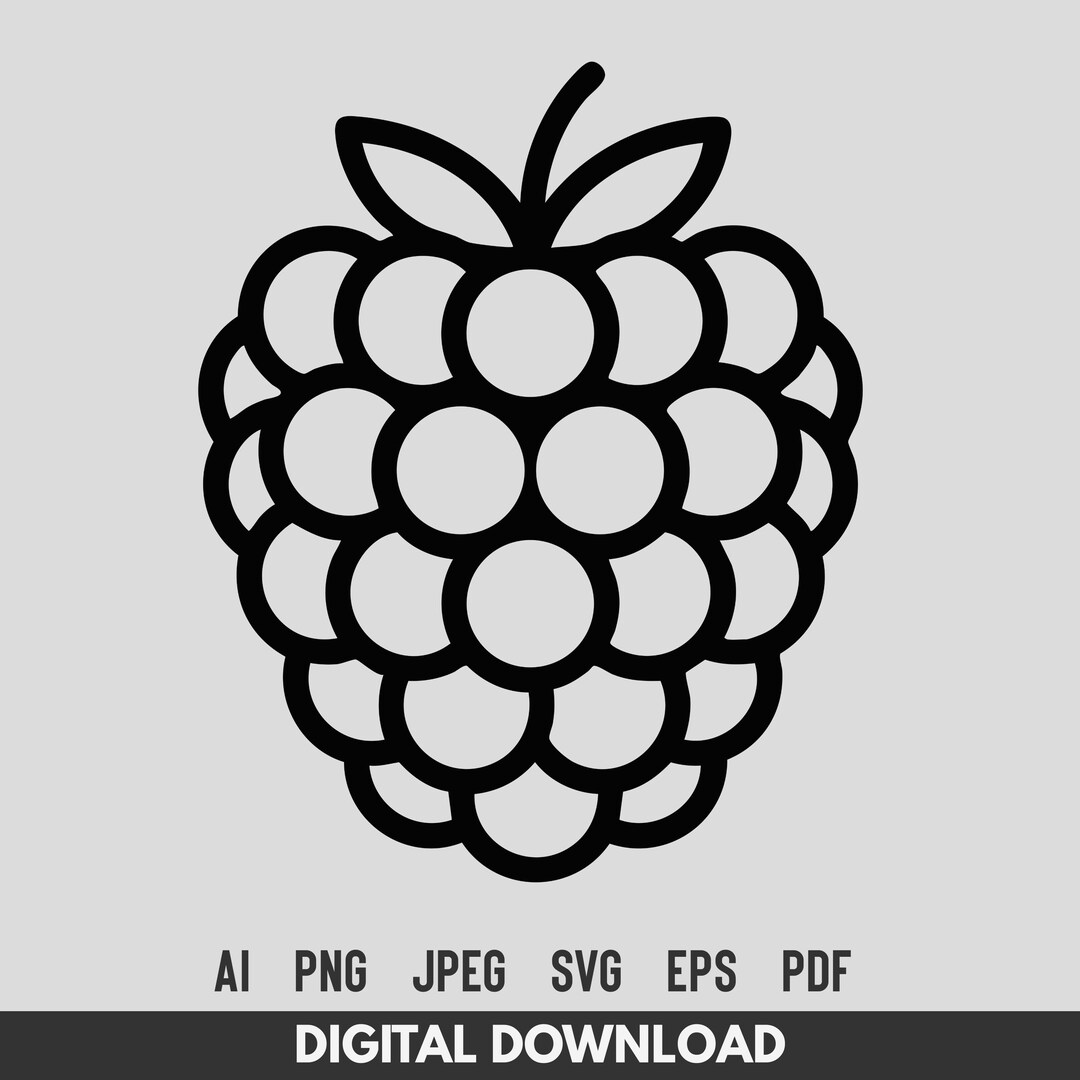 Raspberry SVG Minimal Fruit Line Art Cut File for Cricut and Silhouette ...