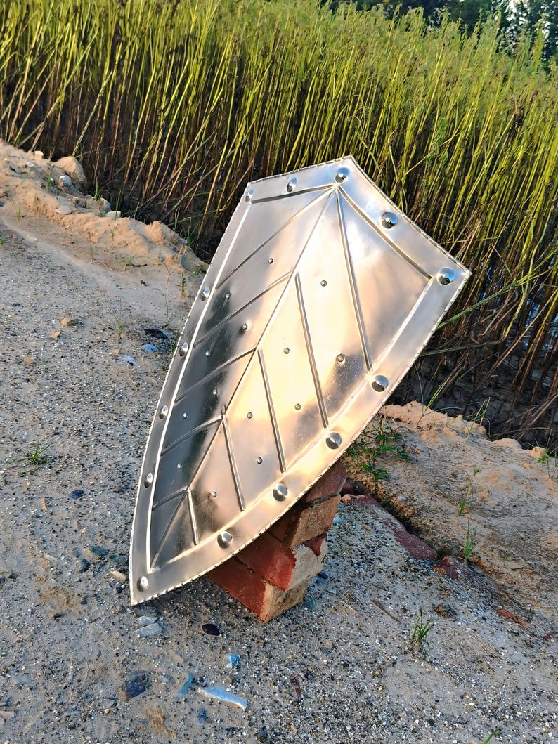 May include: A shiny, silver metal shield with a pointed bottom and a decorative leaf-like pattern. The shield is held up by a red brick, with a background of tall green grass and a sandy ground.