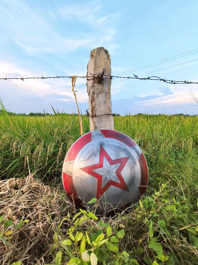May include: A red, white, and silver shield with a large red star in the center, set in long grass. The shield is propped against a concrete post with barbed wire above. A field of green and a blue sky form the background.