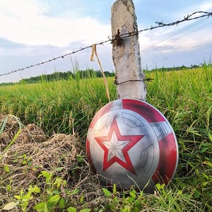 May include: A circular shield with a red and silver design, featuring a red star. The shield rests against a concrete post with barbed wire, set in a field with a cloudy sky in the background.